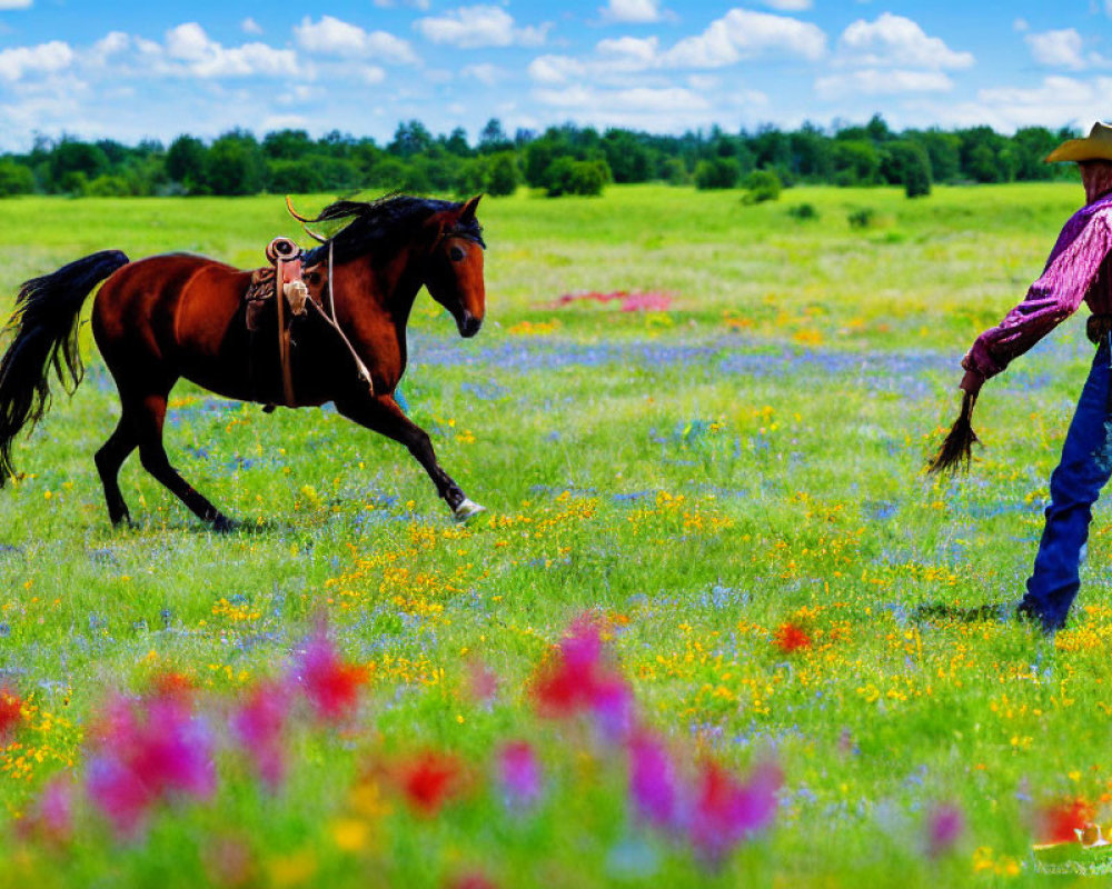 Cowboy in Hat and Jeans with Saddled Horse in Wildflower Field