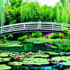 Colorful painting of white arched bridge over pond with lily pads and water lilies