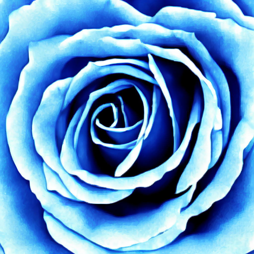 Detailed Close-Up of Vibrant Blue Rose Petals