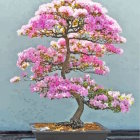 Pink peony bonsai on wooden table with cherry blossoms outside