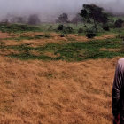 Cloaked Figure on Misty Battlefield with Fallen Combatants