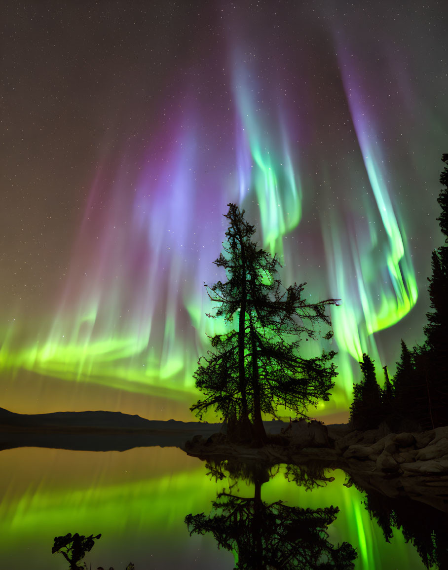 Colorful Aurora Borealis Over Serene Lake with Tree Reflection