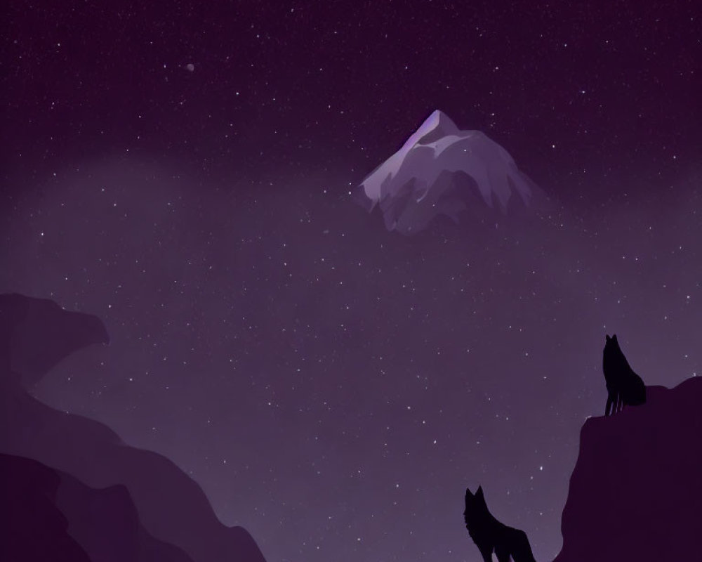 Silhouetted wolf pair on hill under starry night sky.