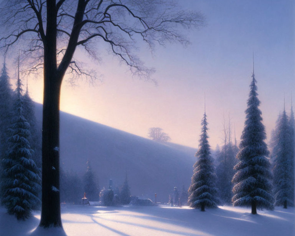 Snow-covered trees in serene winter sunrise scene