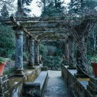 Fantastical garden with swirling topiary and enigmatic doorway