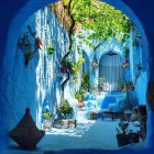 Colorful courtyard with blue walls, archway, green foliage, flowers, and sunlit balcony