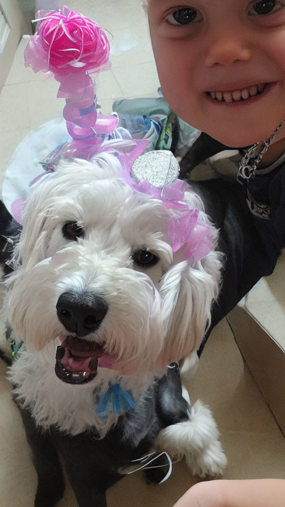 Child and white dog with pink accessories posing in room