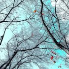 Sparse red and green autumnal trees against clear blue sky