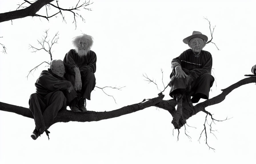 Elderly Individuals Sitting on Tree Branch Against White Background