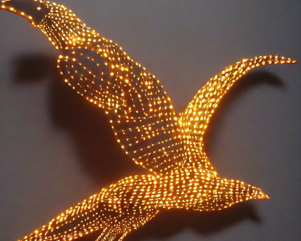 Bird in Flight Outline Illuminated by Warm-Toned Light Bulbs