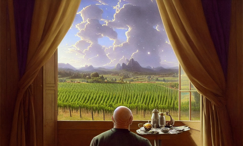 Person in Green Sweater Contemplates Vineyard View at Breakfast Table