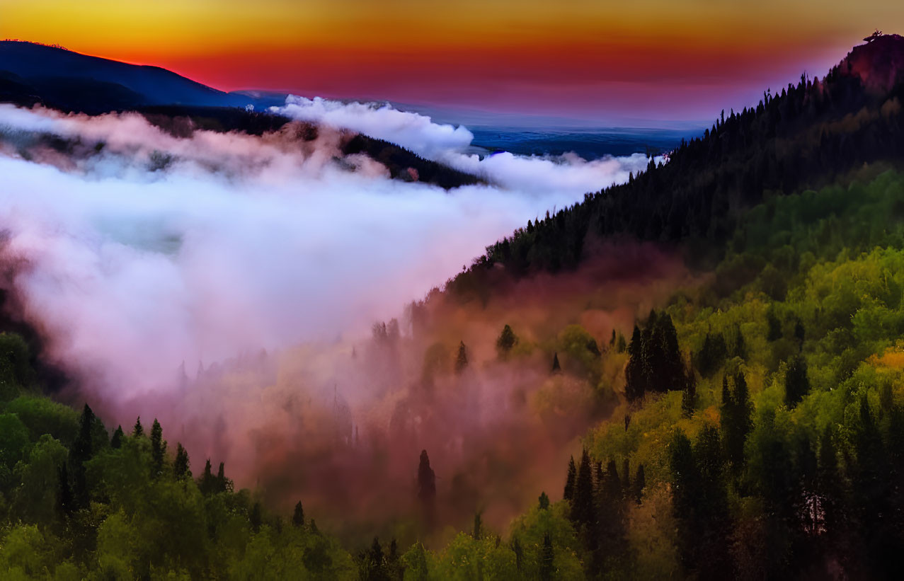 Scenic sunrise over misty forest, hills, and river