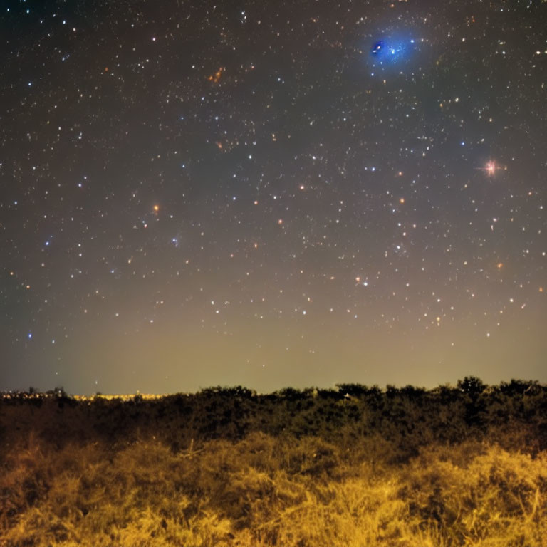 Starry Night Sky Over Silhouetted Landscape