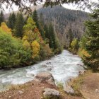 Scenic autumn forest with waterfall, turquoise pool, and mountain backdrop