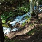 Autumn waterfall in dense forest with vibrant foliage