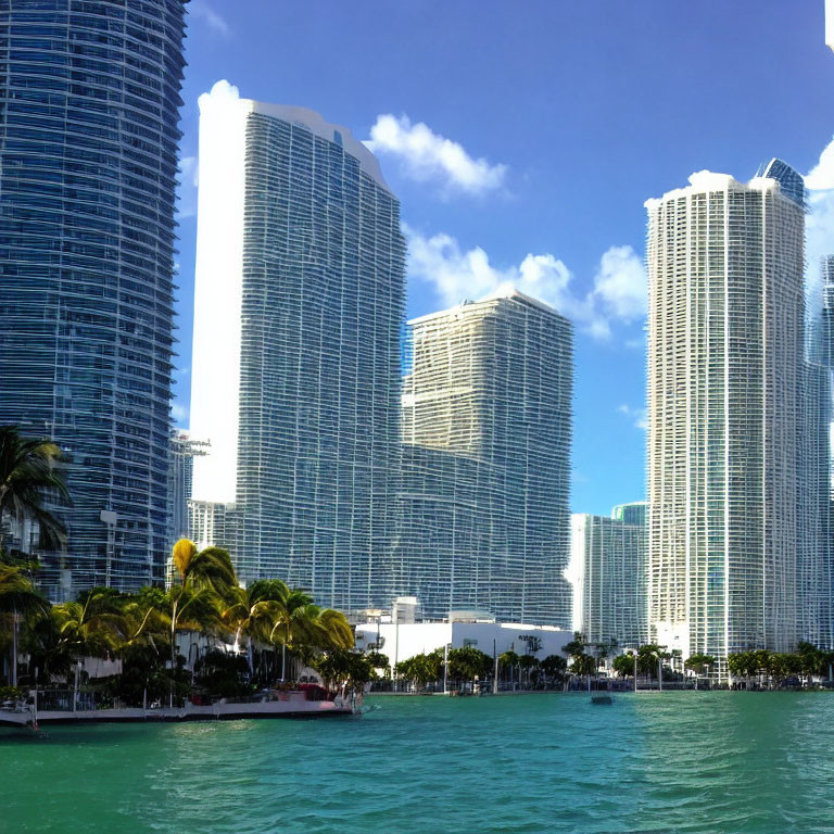 Modern skyscrapers and palm trees in tropical waterfront scene