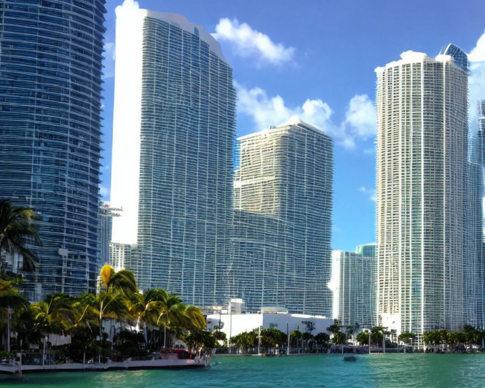 Modern skyscrapers and palm trees in tropical waterfront scene