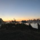 Watercolor landscape: Silhouetted trees at dawn or dusk with orange hints near reflective water