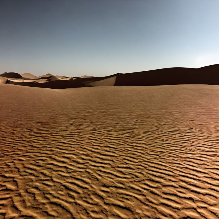 Desert landscape with rippled sand and smooth dunes under clear blue sky