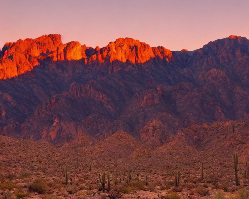 Sunset desert landscape: orange mountains, saguaro cacti, purple sky