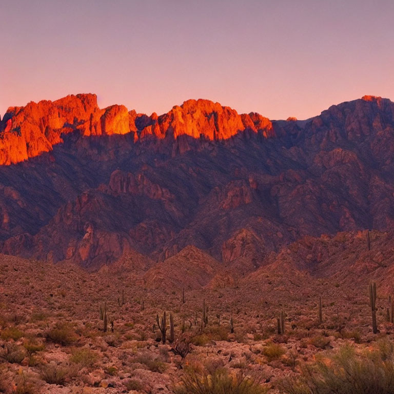 Sunset desert landscape: orange mountains, saguaro cacti, purple sky