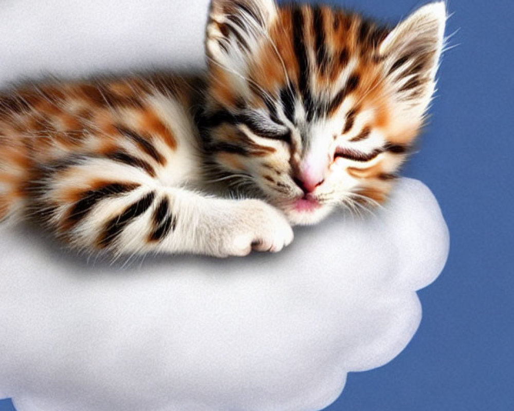 Striped kitten sleeping on fluffy white cloud against blue background