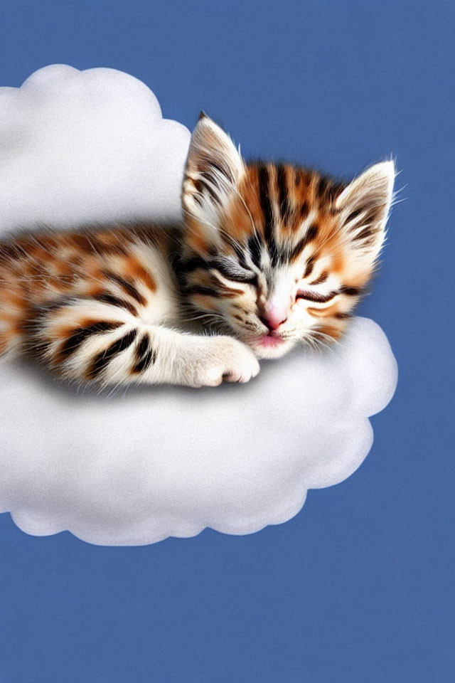 Striped kitten sleeping on fluffy white cloud against blue background