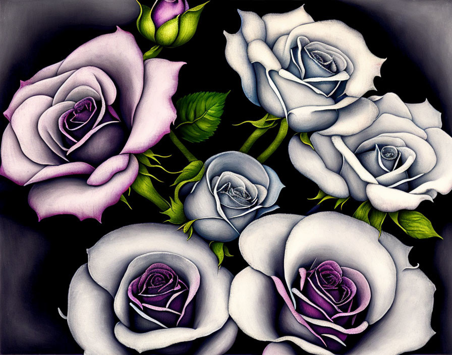 Purple and White Roses with Green Leaves on Dark Background