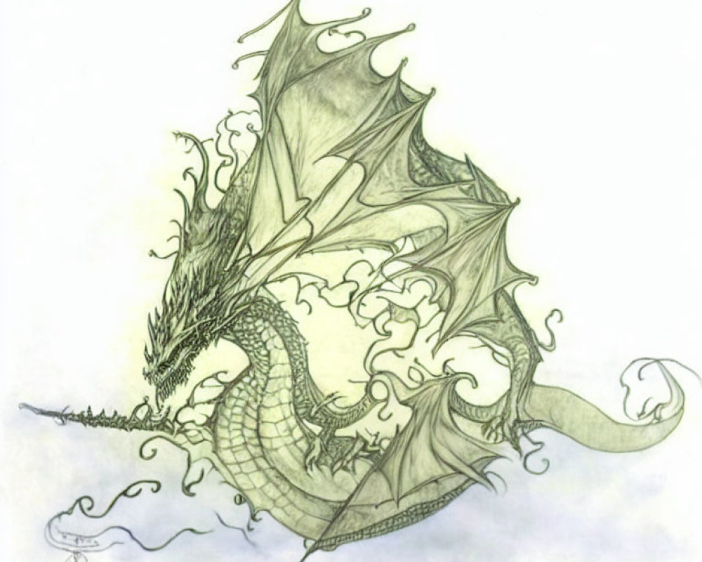 Detailed dragon sketch with expansive wings and intricate scales enveloped in delicate smoke or mist.