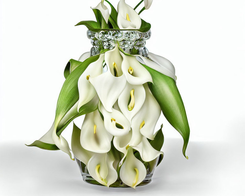 White Calla Lilies in Clear Glass Vase with Silver Rim