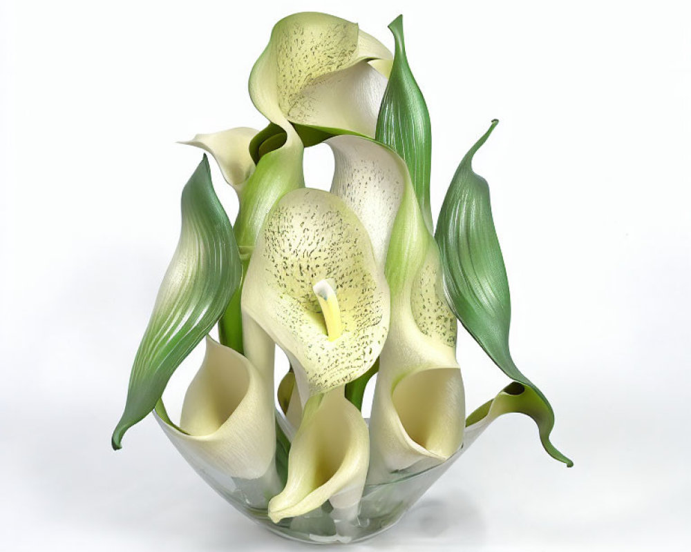 Elegant White Calla Lilies in Glass Vase on Neutral Background