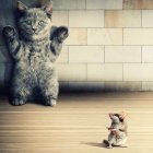 Striped kitten standing on hind legs next to tiny kitten grooming paw