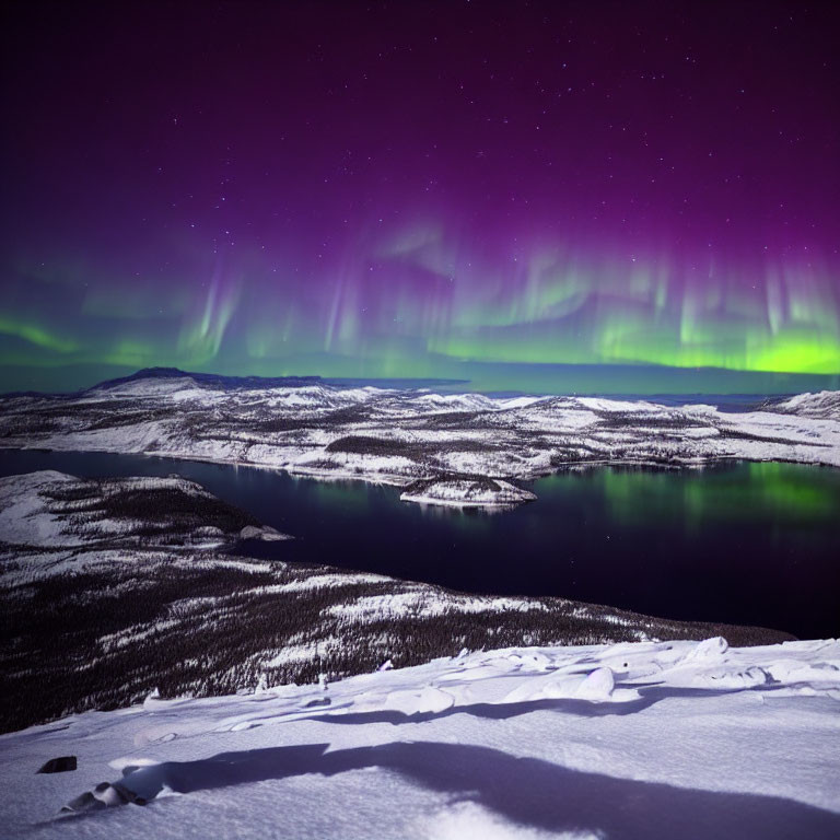 Majestic aurora borealis illuminating snowy landscape