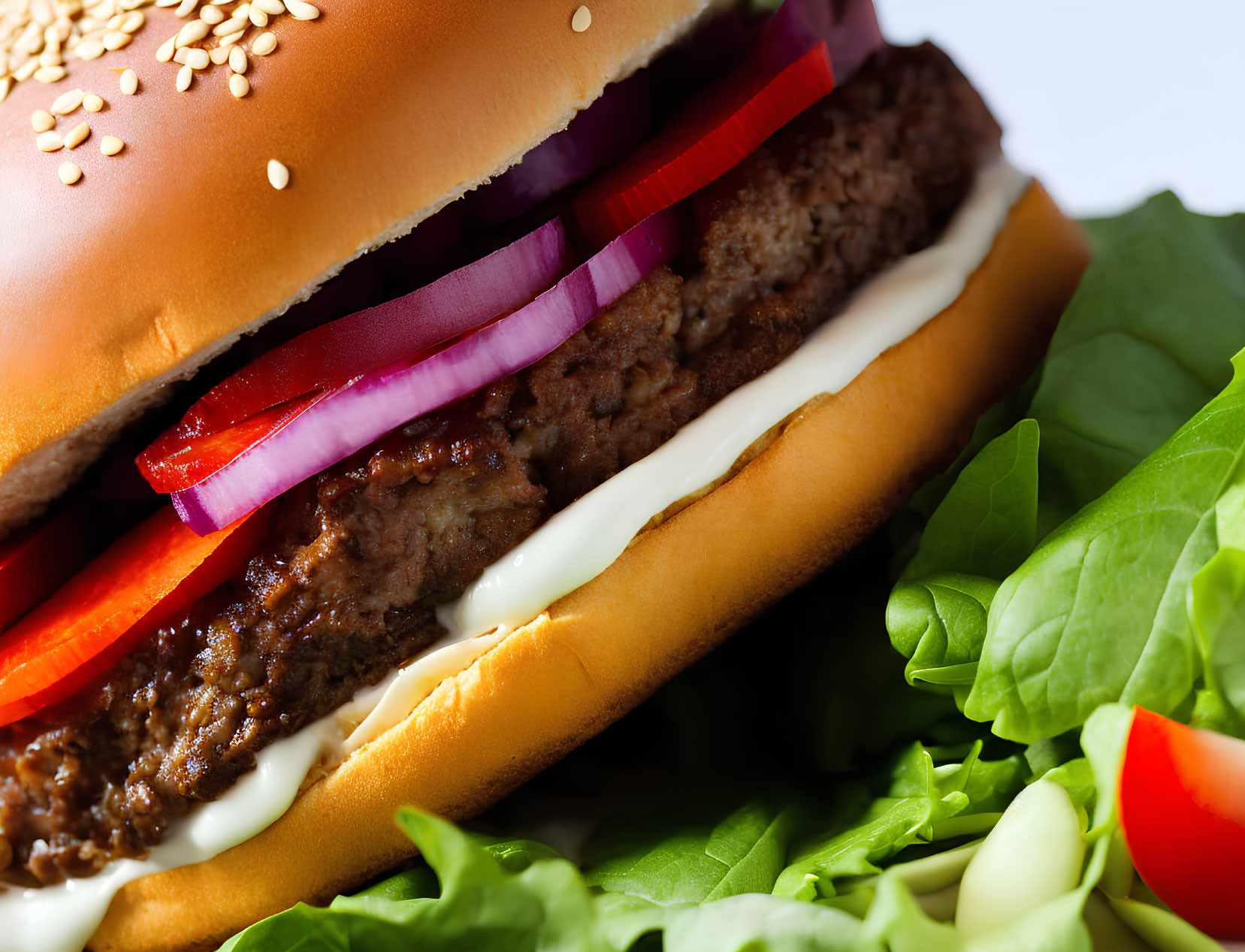 Fresh Burger with Lettuce, Tomatoes, Cheese, and Sesame Bun