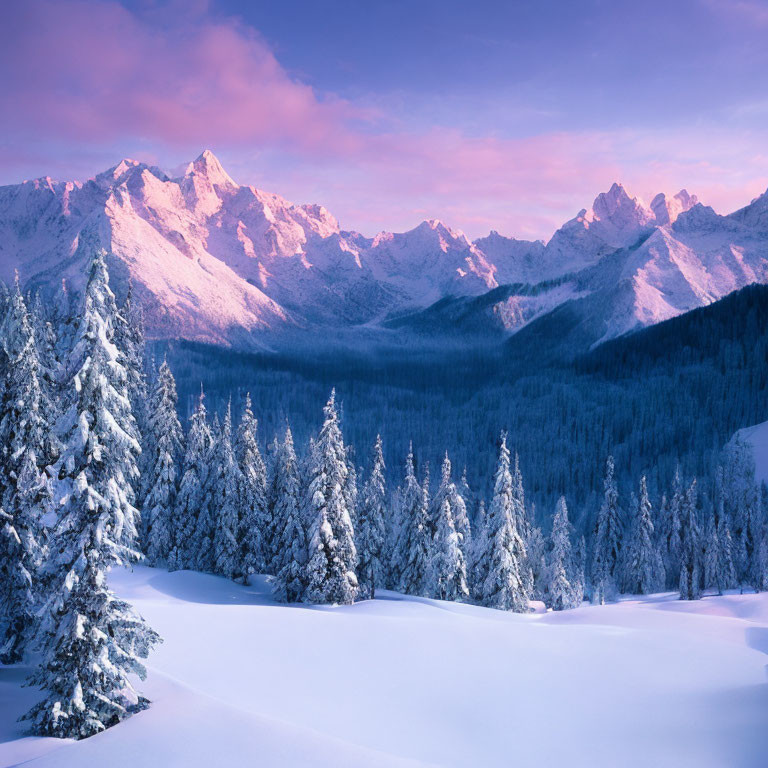 Winter forest scene with snowy trees and pink-hued mountain range at sunrise.