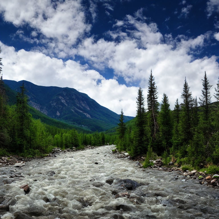 Tumultuous River in Lush Valley with Mountains and Forests