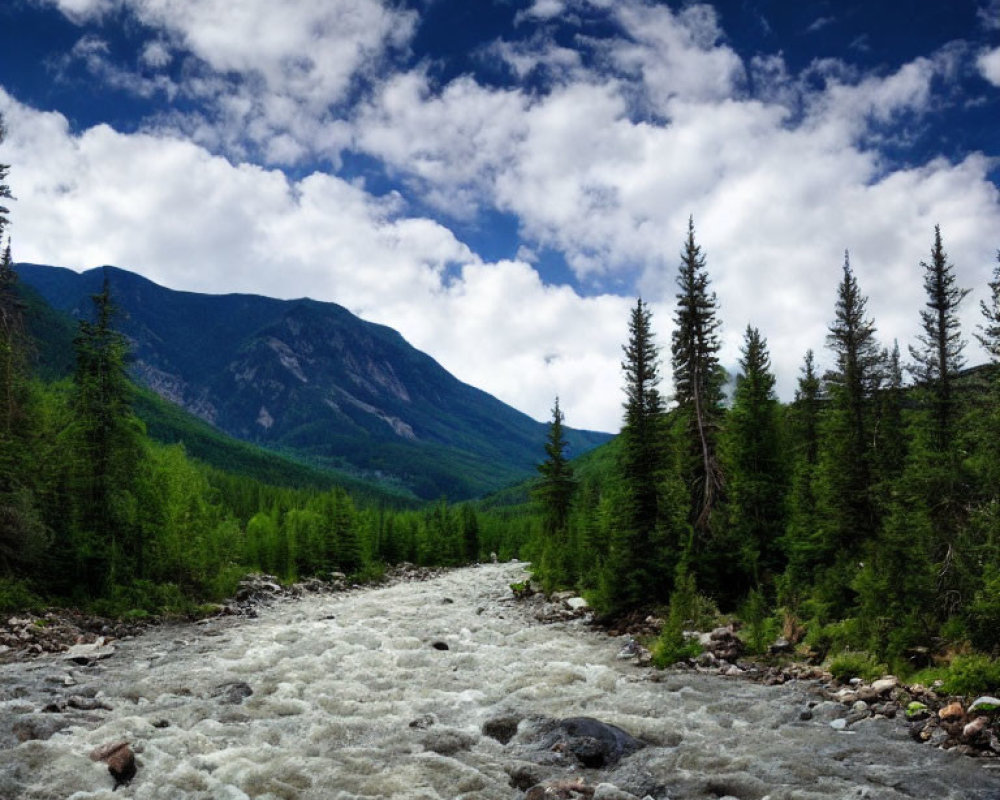 Tumultuous River in Lush Valley with Mountains and Forests