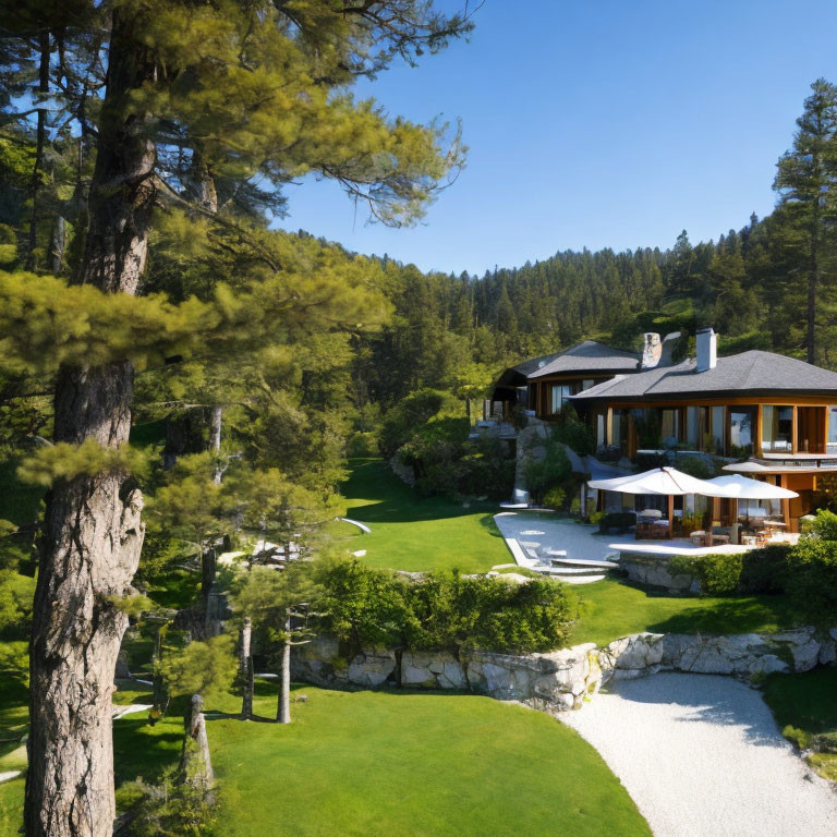 Spacious House Surrounded by Pine Trees and Outdoor Pool