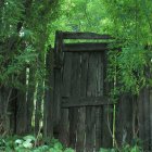 Ornate open gate to vibrant mystical forest with lush trees, river, mountains