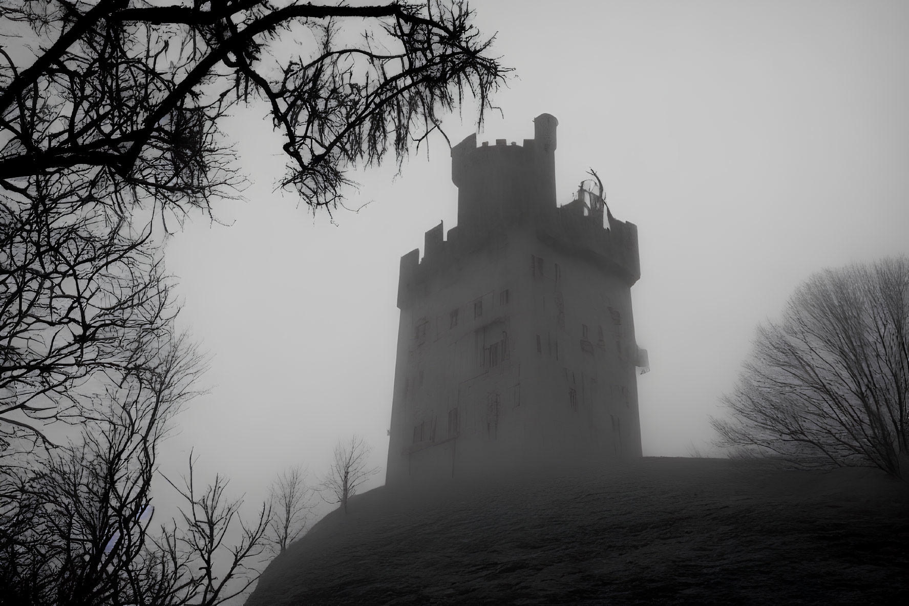 Medieval castle in thick fog with bare tree branches