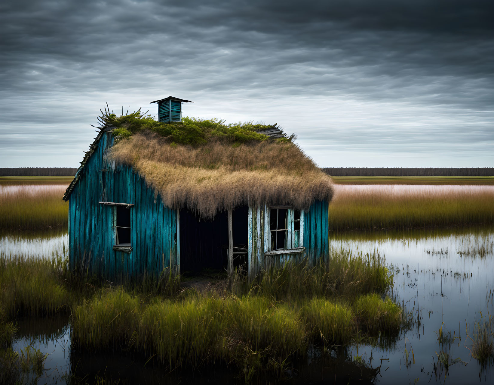 Abandoned blue hut with thatched roof in marsh under cloudy sky