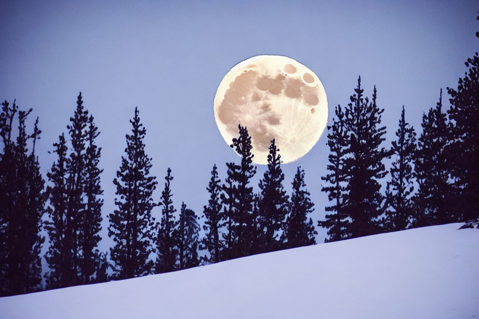 Full Moon Silhouettes: Snowy Hill & Pine Trees at Dusk