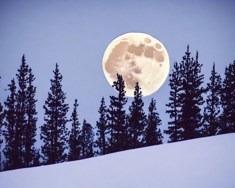 Full Moon Silhouettes: Snowy Hill & Pine Trees at Dusk