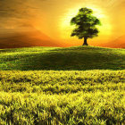 Scenic sunset landscape with lone tree on rolling hill