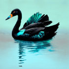Black Swan Artistic Rendering with Turquoise Feathers Reflected on Water