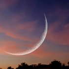 Twilight sky with large crescent moon, birds, and tree silhouettes