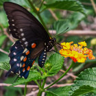 3D-animated elephant with butterfly wings near vibrant yellow flower