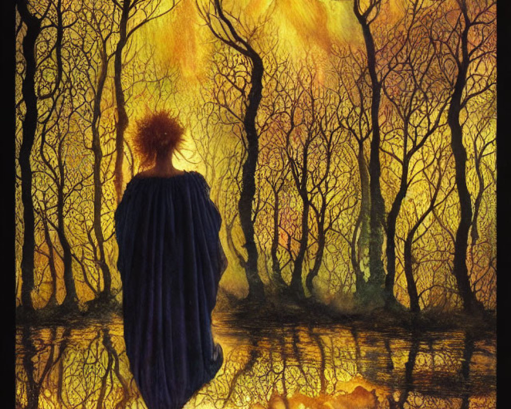 Person in Cloak Watching Fiery Phoenix in Mystical Forest