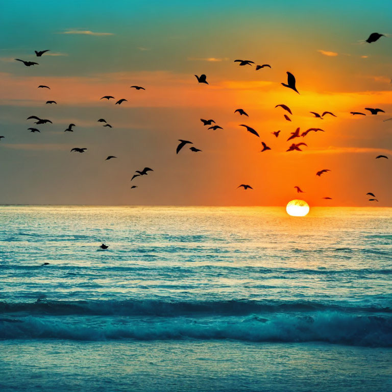 Scenic ocean sunset with flying birds and warm glow