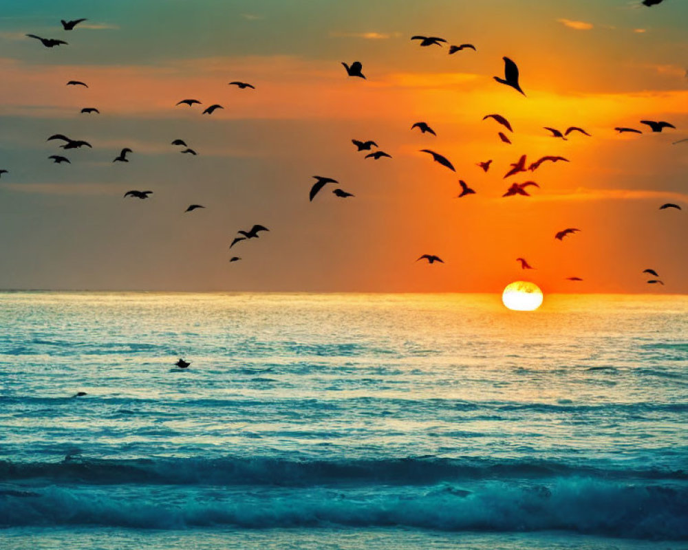 Scenic ocean sunset with flying birds and warm glow